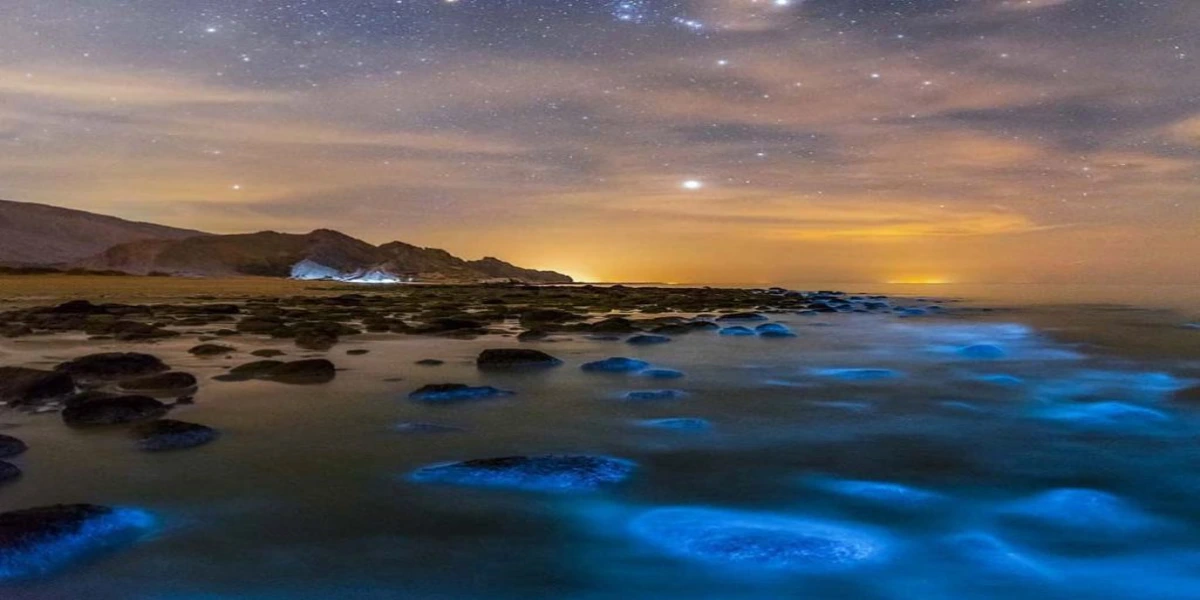 ساحل نقره‌ای