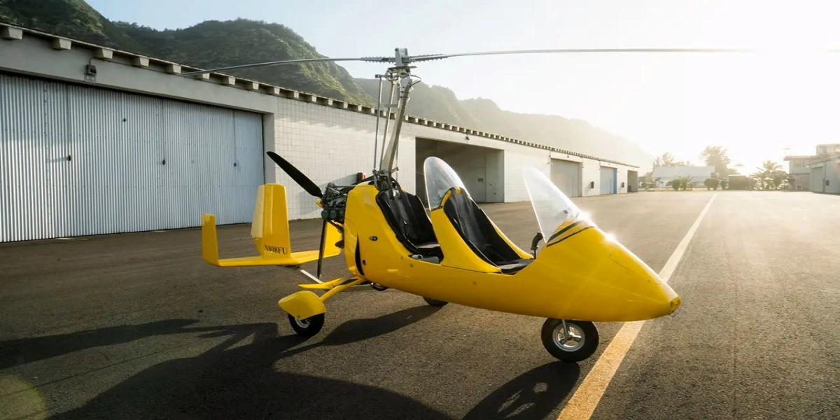 پرواز بر فراز کیش