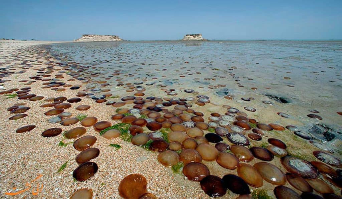 جزیره هندورابی؛ نگینی در آبهای خلیج فارس