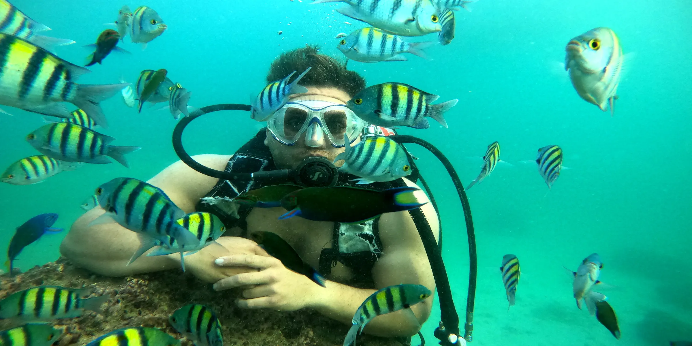 غواصی تفریحی با مربی