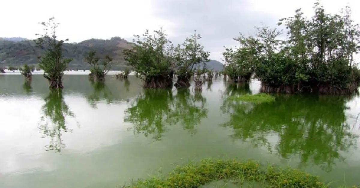 تالاب استیل آستارا