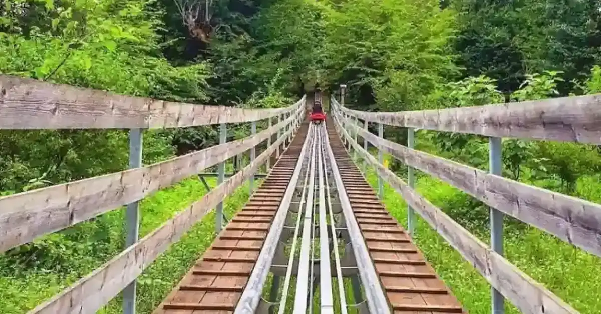 سورتمه تالش