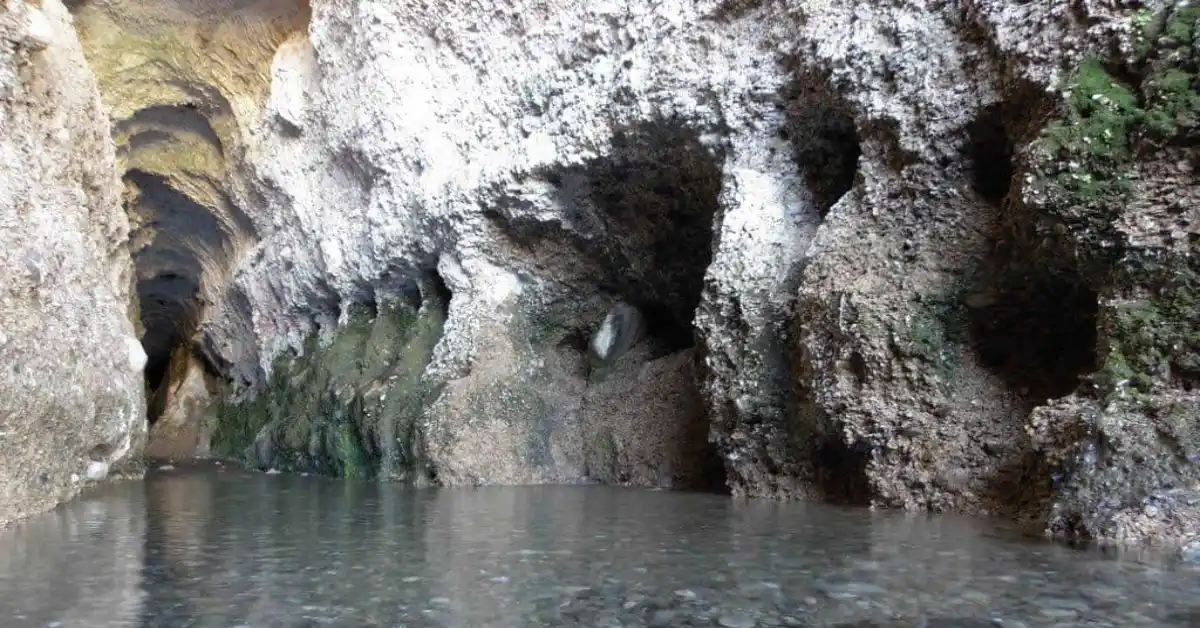 روستای لادیز