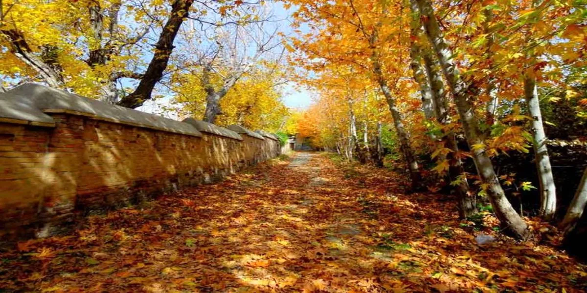 شیراز در پاییز