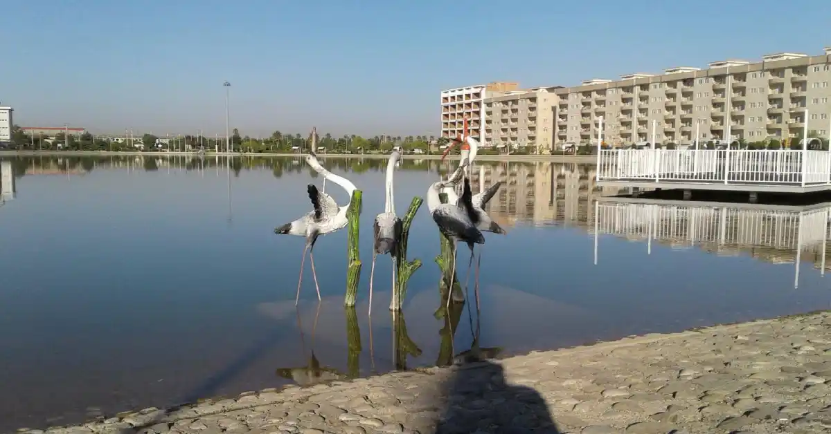 گنبدکاووس