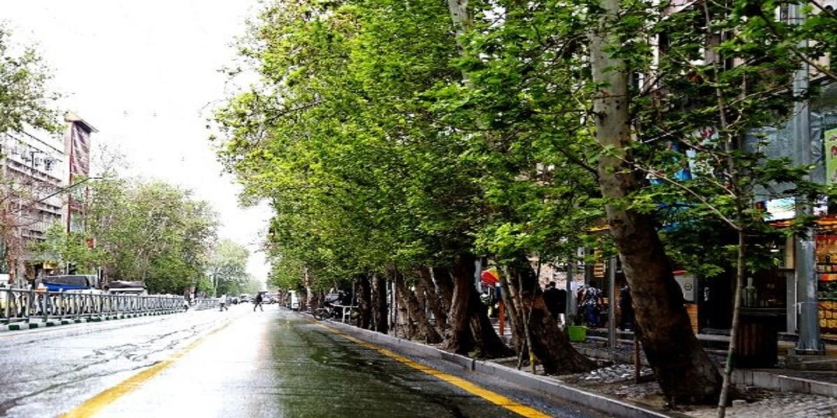 خیابان ولیعصر (شانزلیزه تبریز)