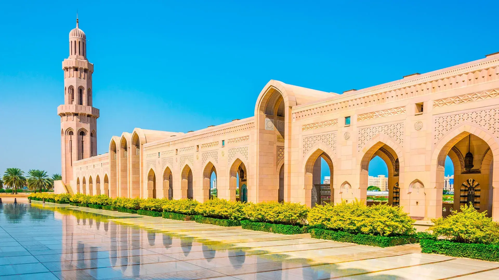 عمان